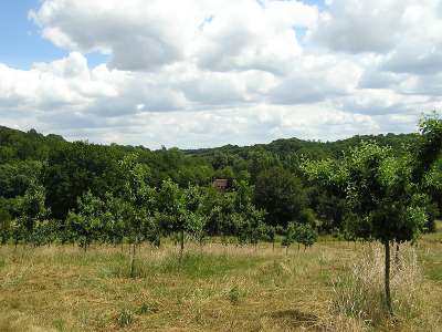 © La campagne mirambeaulaise