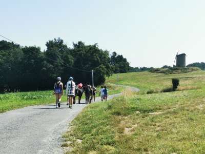 © la fleur de l'âne à Boisredon