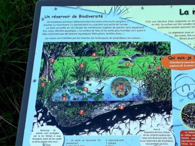 © table de lecture