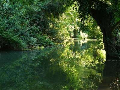 © Les bords de Seugne en contrebas de