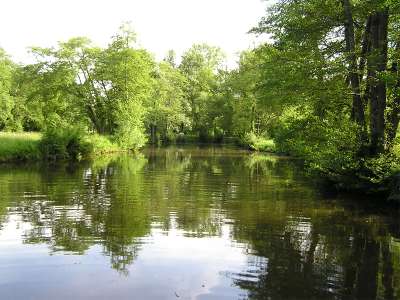 © La rivière