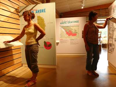 © La scénographie de la Maison de la Forêt