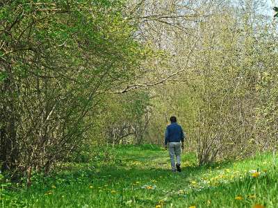 © Chemin sur les bords du Lariat