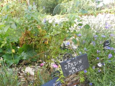 © Carré du jardin de Marie