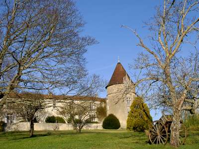 © La Maison de la Vigne et des Saveurs à Archiac Le Trèfle à l'aire de pique-nique de la Belette à Allas-Champagne L'église Saint-Martin de Moings, ses graffiti, commune de Réaux-sur-Trèfle Le logis de Pimbert sur son coteau viticole à Arthenac Le logis de Pimbert et sa tour ronde L'église de St-Eugène sur son coteau viticole du Vignoble du Cognac La table de lecture du paysage de la Petite Champagne et de la vallée du Né à St-Eugène La boutique de produits du terroir de la Maison de la Vigne et des Saveurs à Archiac La scénographie de la Maison de la Vigne et des Saveurs sur le Vignoble du Cognac Le mur des teintes pineau et cognac à la Maison de la Vigne et des Saveurs à Archiac