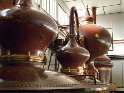 © Famille Bertrand Cognac Bertrand Who We Are Cognac Bertrand Chais Famille Bertrand Famille Bertrand Famille Bertrand Visite et dégustation chez Cognac Bertrand Dégustation au domaine des Brissons de Laage Famille Bertrand