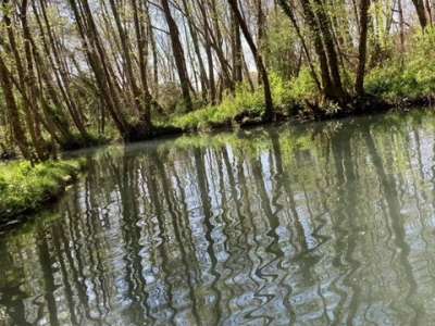 © Moulin du Sap