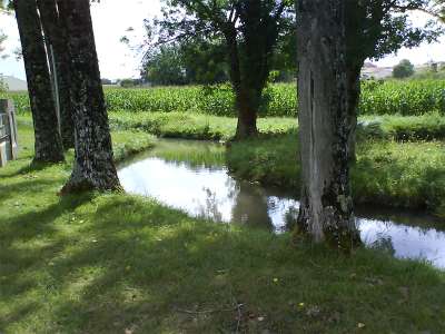 © Les bords du Pérat à l'aire de pique-nique et halte équestre à St-Martial-sur-Né
