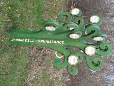 © Arbre de la Connaissance
