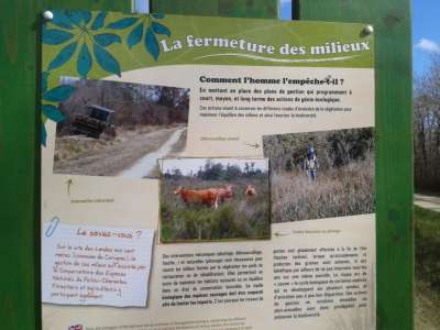 © Panneau Explicatif