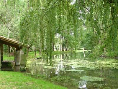 © Le lavoir restauré de Lussac, en contrebas du village, sur les bords de la Seugne Moulin à eau sur la Seugne à l'entrée de St-Germain-de-Lusignan Le pont des Ânes, ancienne passerelle médiévale, qui enjambe la Seugne à Clion Le moulin à eau de chez Bret à Jonzac à proximité du départ Un embarcadère sur les bords de La Seugne Le musée artisanal et rural de Clion Le château de Lussac qui domine la vallée de la Seugne (visite possible) La vallée de la Seugne L'église Saint-Michel de Lussac