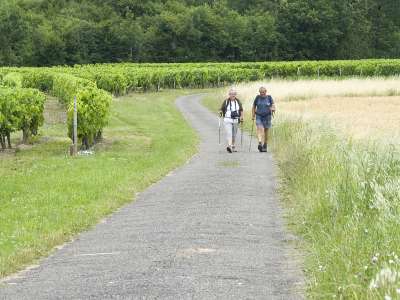 © Randonneurs sur les routes de St-Germain-du-Seudre