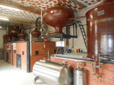© Salle de dégustation établissement Bodard