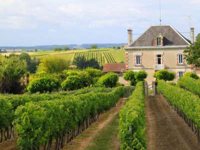 © Domaine Castel-Sablons