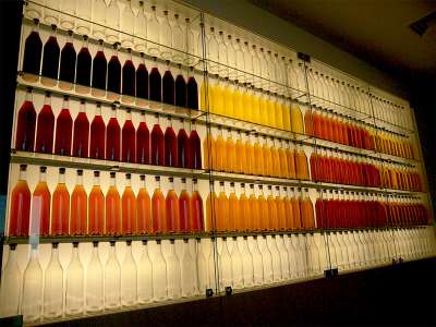 © La boutique des produits du terroir Le mur des teintes de pineaux des Charentes et de cognacs Découverte du mur des teintes des pineaux des Charentes et cognacs La boutique de produits du terroir aux couleurs de Noël La boutique de produits du terroir aux couleurs de Noël La boutique de produits du terroir aux couleurs de Noël La boutique de produits du terroir aux couleurs de Noël La Maison de la Vigne et des Saveurs de Haute-Saintonge L'Espace Scénographie L'Espace Scénographie L'Espace Scénographie Un atelier de cuisine La boutique des produits du terroir Un atelier culinaire Parents-Enfants Un atelier dégustation Un atelier dégustation La Fête des Vendanges La Fête des Vendanges On verse sa récolte de raisins dans la hotte La Fête des Vendanges La Fête des Vendanges Le médiapôle