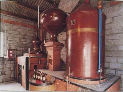 © Le Moulin de la Champagne, producteur de pineau-cognac à Allas-Bocage en Haute-Saintonge
