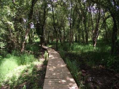 © la passerelle au dessus du ruisseau