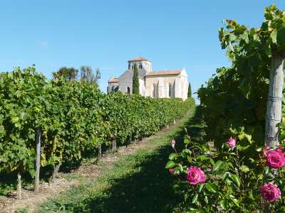 © La Maison de la Vigne et des Saveurs à Archiac Le Trèfle à l'aire de pique-nique de la Belette à Allas-Champagne L'église Saint-Martin de Moings, ses graffiti, commune de Réaux-sur-Trèfle Le logis de Pimbert sur son coteau viticole à Arthenac Le logis de Pimbert et sa tour ronde L'église de St-Eugène sur son coteau viticole du Vignoble du Cognac La table de lecture du paysage de la Petite Champagne et de la vallée du Né à St-Eugène La boutique de produits du terroir de la Maison de la Vigne et des Saveurs à Archiac La scénographie de la Maison de la Vigne et des Saveurs sur le Vignoble du Cognac Le mur des teintes pineau et cognac à la Maison de la Vigne et des Saveurs à Archiac