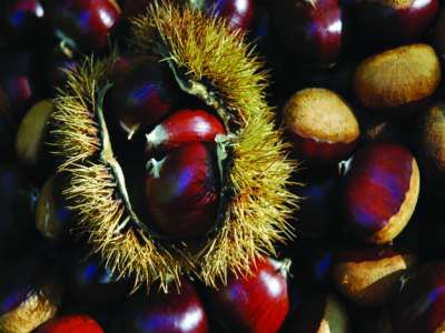 © Boux Annie