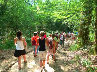 © Randonneurs dans la forêt de La Lande aux alentours de Plassac