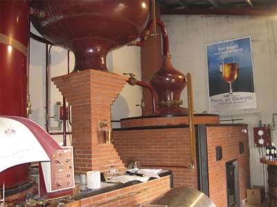 © Vignoble Morandière, Étapes du Cognac, à St-Georges-des-Agoûts en Haute-Saintonge