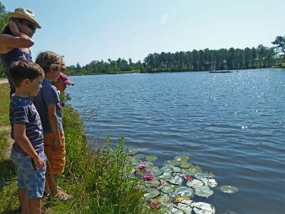 © Sur les bords du lac Baron-Desqueyroux de Montendre