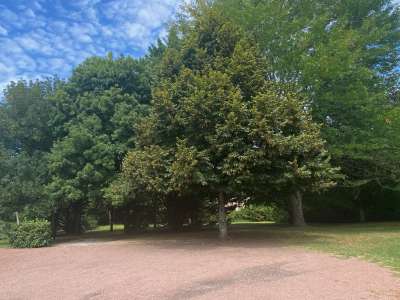 © parc ombragé