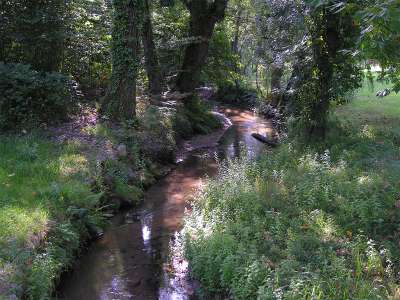 © Les bords de la Livenne