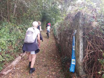 © Vététistes sur le circuit au bois de la Sablière à Jonzac Vététistes sur le circuit à la ,sortie du bois de la Sablière à Jonzac Vététistes sur le circuit sur un chemin à Jonzac La passerelle de Romas enjambant le Trèfle (dit le pont romain) L'église Saint-Vincent de Réaux-sur-Trèfle L'église de Ste-Lheurine sur son promontoire qui domine le Vignoble du Cognac Porche charentais à proximité de l'étang du Parc Barabeau à Jarnac-Champagne Aire de pique-nique sur les bords du Mortier à Chadenac L'église Saint-Martin de Chadenac, surnommée la Marquise de Saintonge Le jardin archéologique de Chadenac L'église Saint-Pierre de Neuillac La Voie Romaine et sa table de lecture près du lieu-dit de Fontagard L'église Notre-Dame de l'Assomption de Neulles Puits et monument aux morts (en arrière-plan) à St-Maurice-de-Tavernole L'église de St-Maurice-de-Tavernole Le coteau aux orchidées du Fief de Chaux à St-Maurice-de-Tavernole Panneau explicatif d'entrée du parcours botanique du coteau aux orchidées L'église de St-Martial-de-Vitaterne