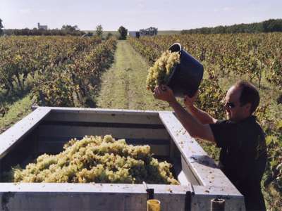 © Pineau-Cognac Barron