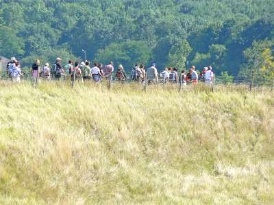 © Randonneurs dans la campagne lorignacaise, forêt de la Lande en arrière-plan