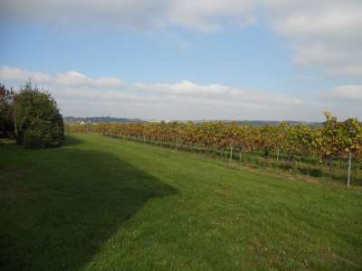 © Domaine de la Coussaie
