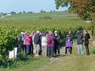 © Randonneurs dans le Vignoble du Cognac sur la commune de Réaux-sur-Trèfle