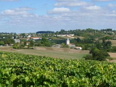 © Rayonnantes de Haute Saintonge N°5 et N°6 Jonzac - Mirambeau - Vitrezay Gironde 8 L'église Saint-Philippe et Saint-Jacques de St-Simon-de-Bordes Le plan d'eau de St-Simon-de-Bordes Petit Niort et l'église Saint-Martin dans leur paysage vallonné Petit Niort et l'église Saint-Martin dans leur paysage vallonné L'église de St-Bonnet-sur-Gironde Cyclotouriste devant le ponton-carrelet de Vitrezay Promenade familiale en vélo dans le marais de Vitrezay Paysage du marais de Vitrezay Vue aérienne de Port Vitrezay Promenade familiale en vélo dans le marais de Vitrezay La table de lecture du paysage de l'estuaire de la Gironde à Vitrezay Le port de plaisance de Vitrezay Une