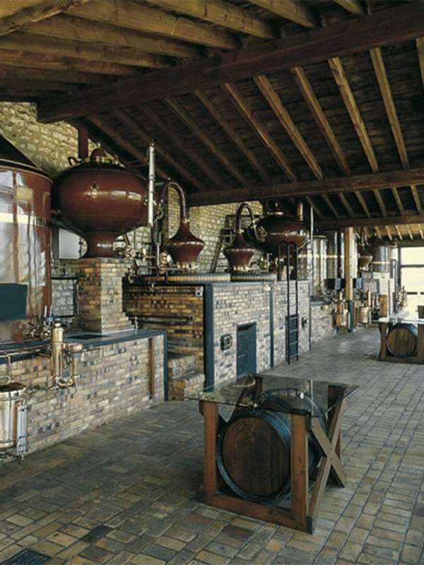 Distillerie du Château de Beaulon - Pineau & Cognac