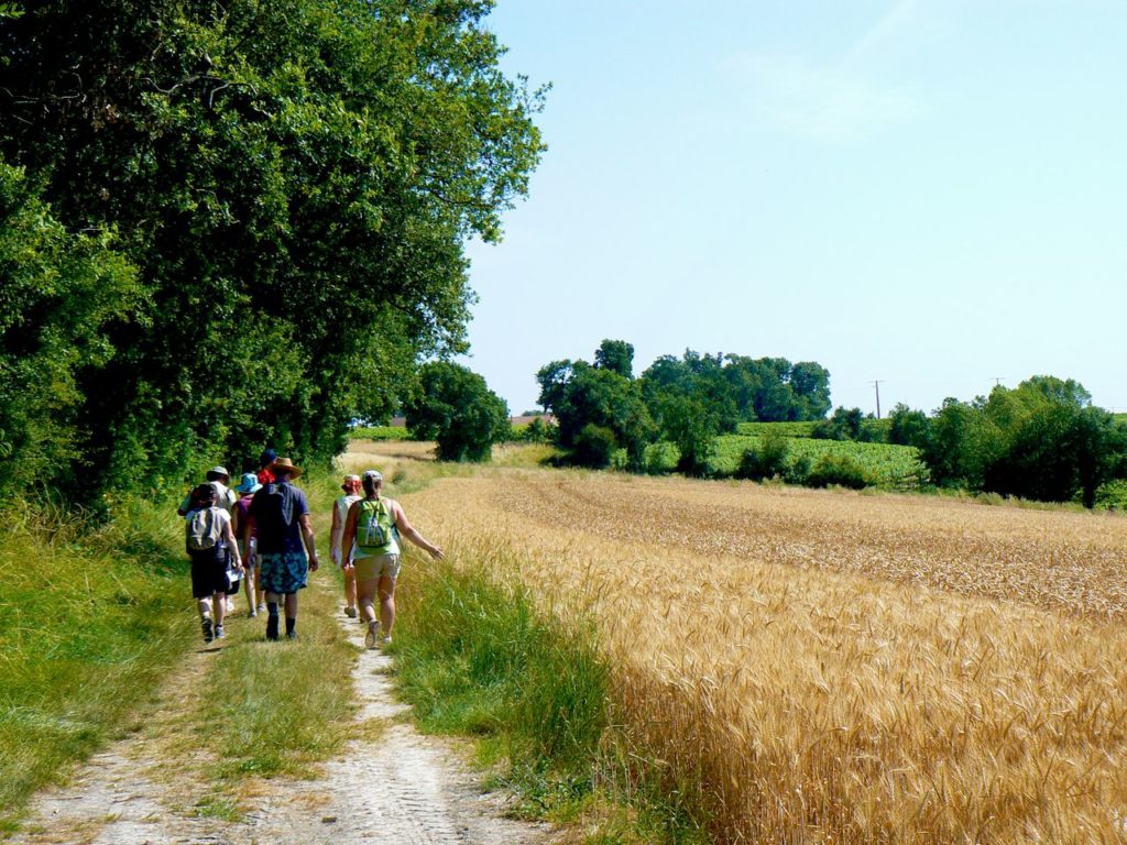 Randonnées à pied en Haute-Saintonge