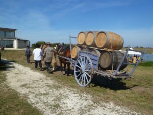 Calèche attelée avec des tonneaux de cognac à Vitrezay