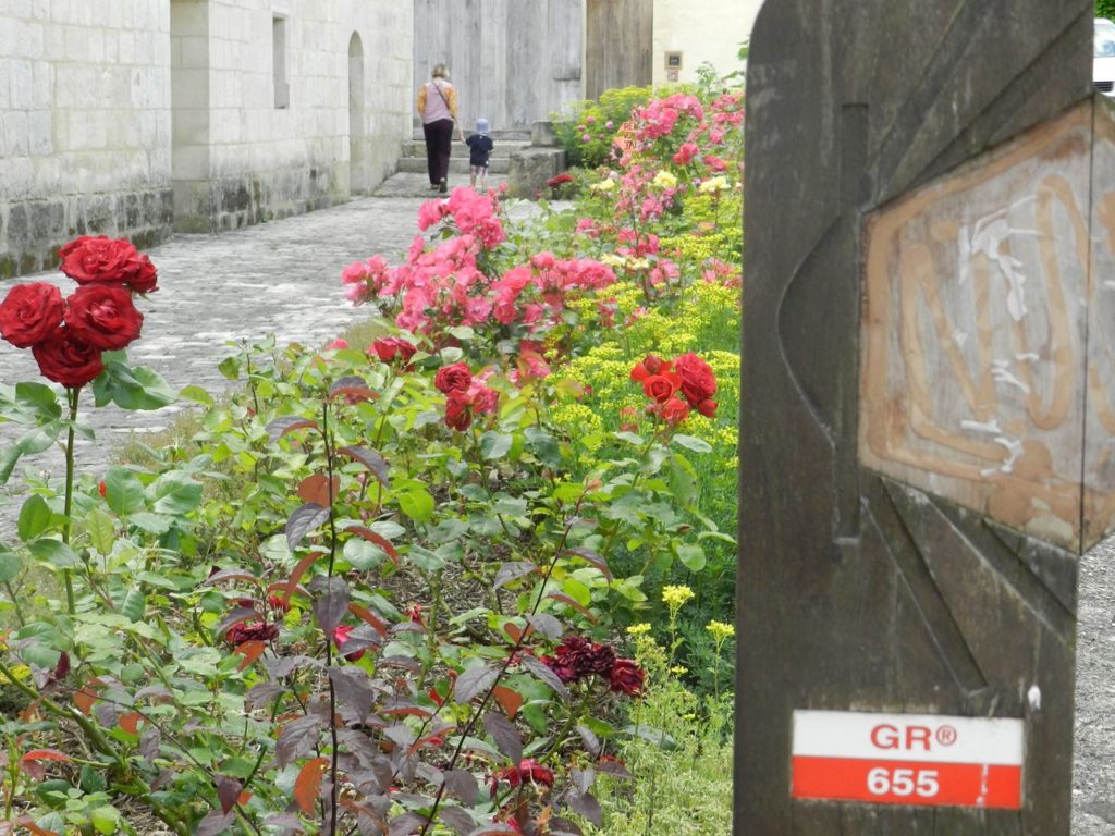 Randonnées à pied en Haute-Saintonge