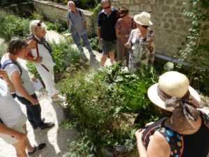 Jardin Haute-Saintonge