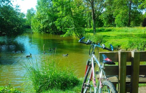 Randonnées Vélo en Haute-Saintonge