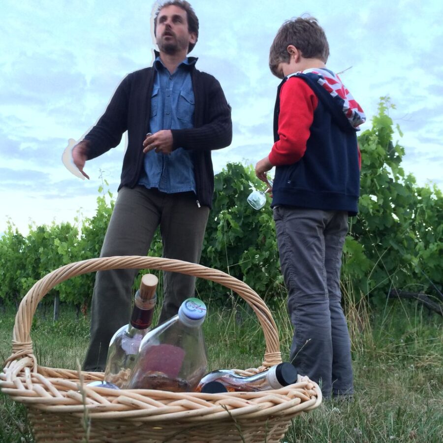 Vignoble Cognac