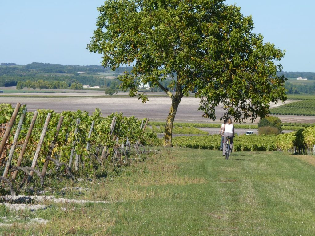 Randonnées Vélo en Haute-Saintonge