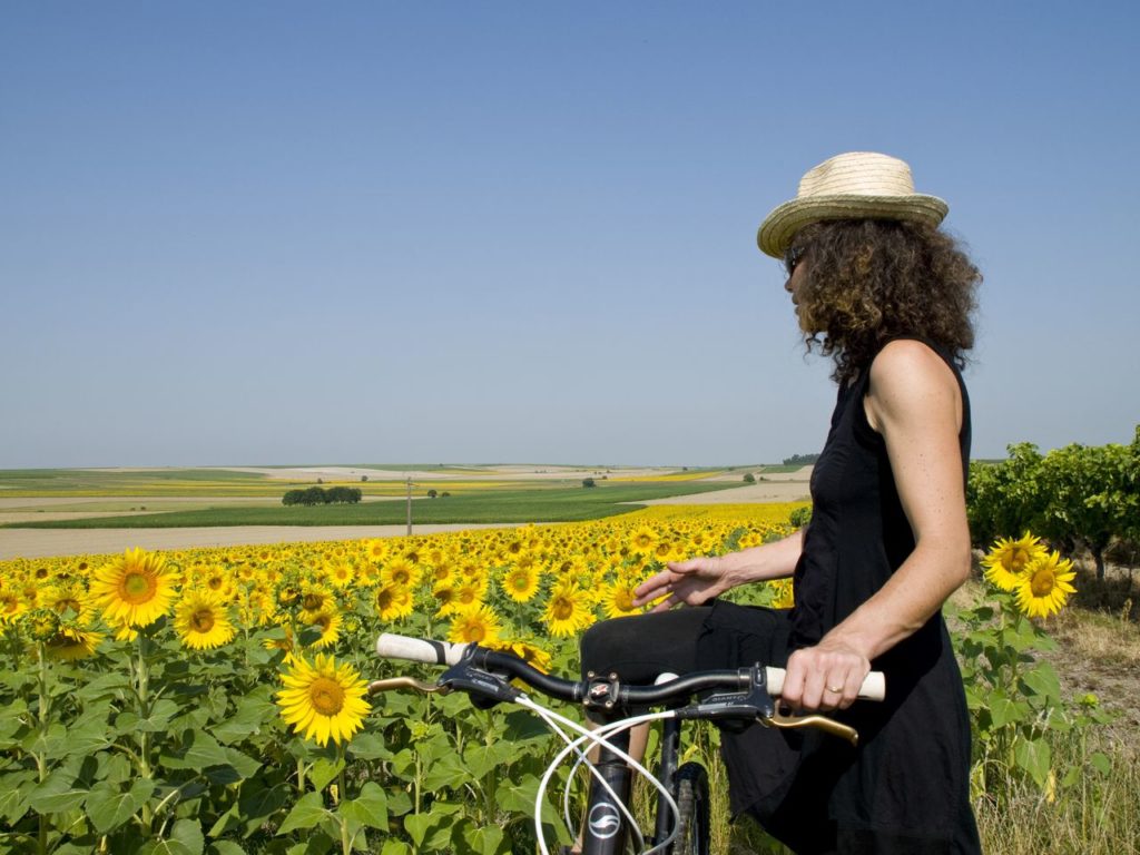 Randonnées Vélo en Haute-Saintonge