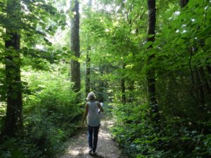 Balade en forêt