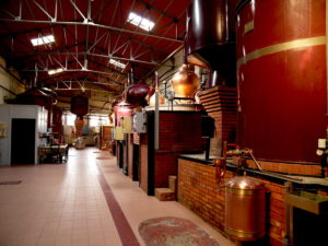 Distillerie de Cognac proche de Jonzac