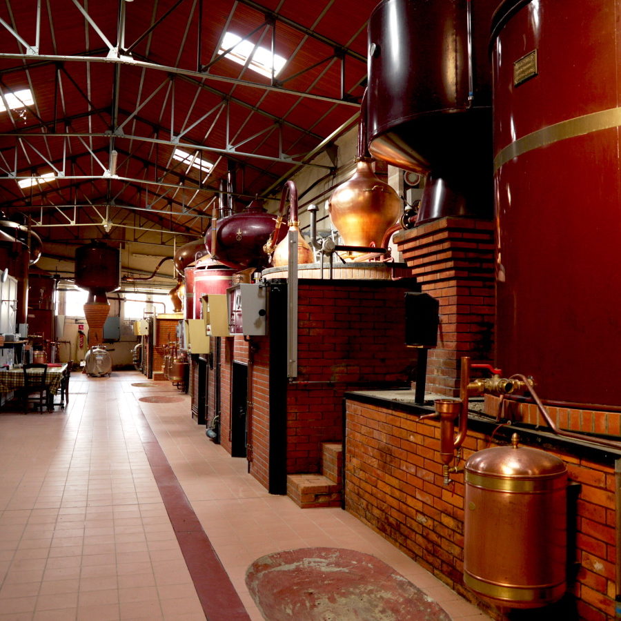 Distillerie de Cognac proche de Jonzac