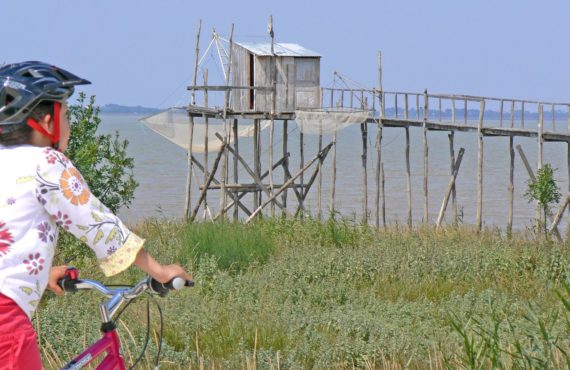 L'estuaire à Vitrezay