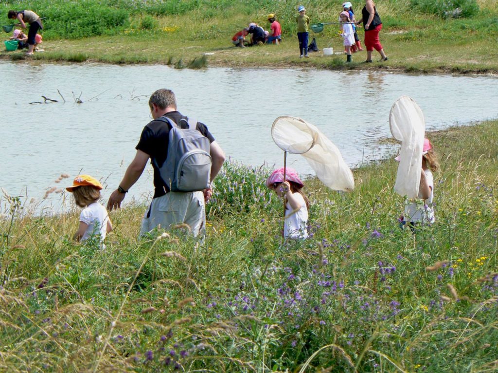 Estuaire à Vitrezay