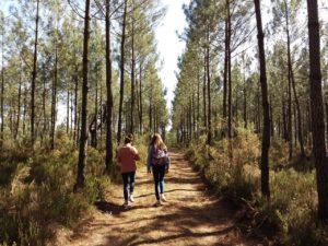 Balade dans la forêt de pins de Montendre