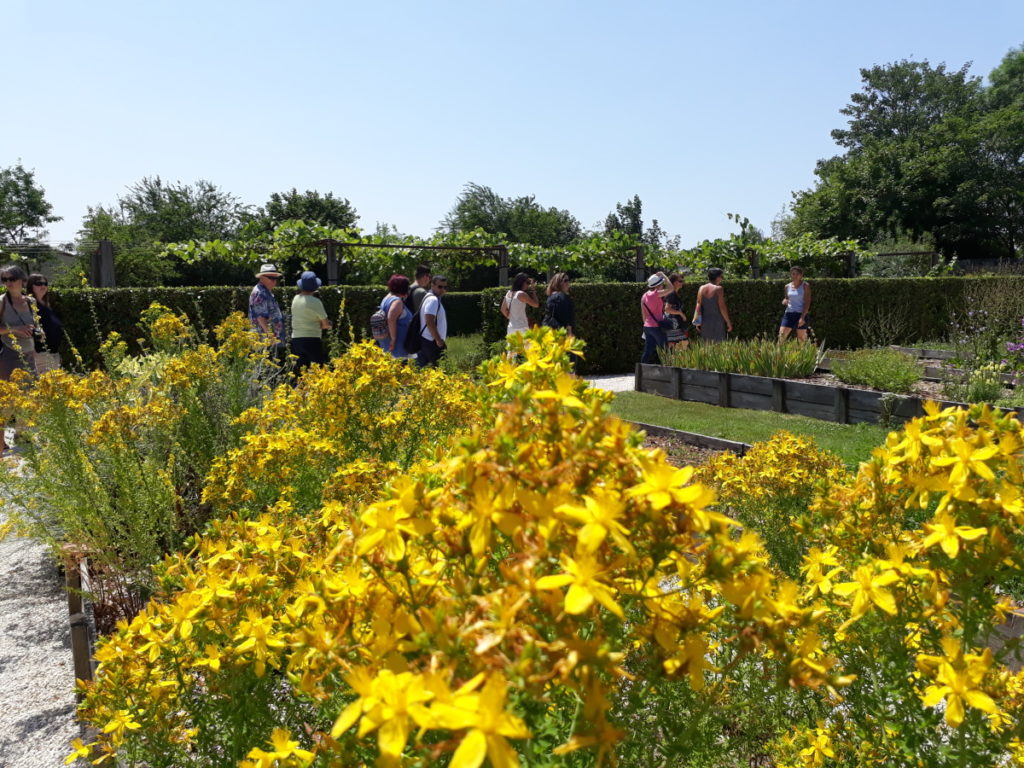 Jardin Haute-Saintonge